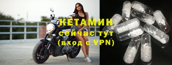 сатива Киселёвск