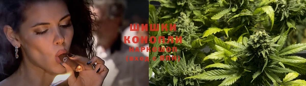 spice Покров