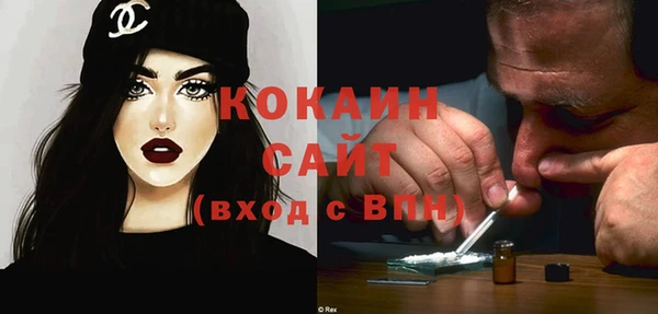 сатива Киселёвск