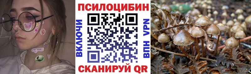 Псилоцибиновые грибы Magic Shrooms  Шимановск 